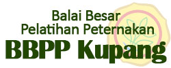 UPT Image