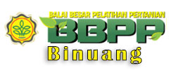UPT Image