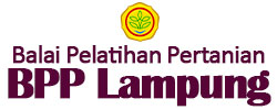 UPT Image